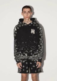 Picture of Amiri Hoodies _SKUAmiriS-XL58359627